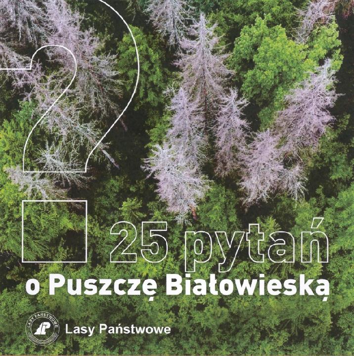 25 pytań o Puszczę Białowieską